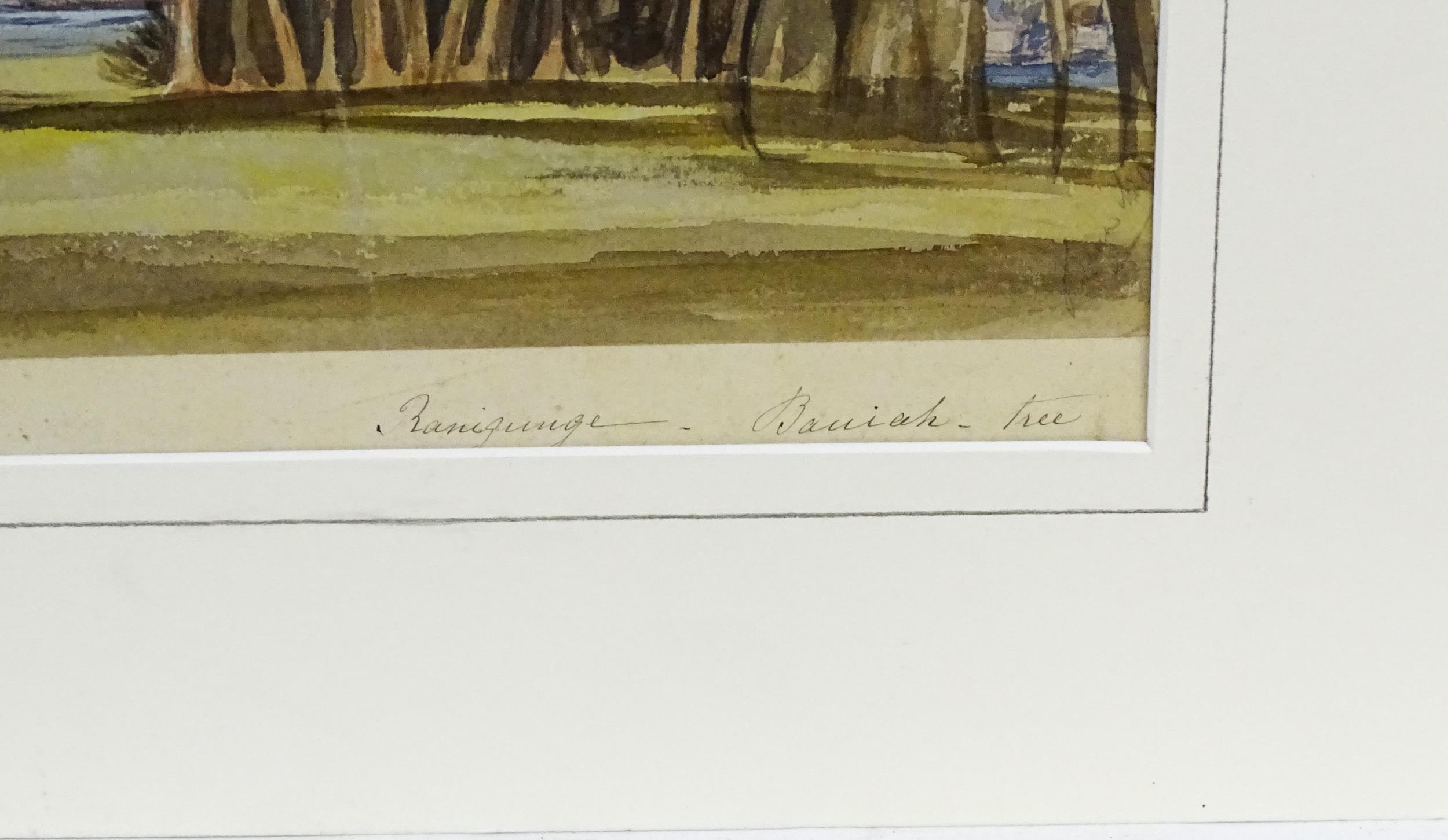 19th century, Anglo-Indian School, Watercolour, A study of a wooded landscape with Banyan trees. - Image 4 of 5