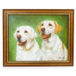 21st century, Oil on canvas, A study of two Golden Labrador dogs. Indistinctly signed lower right.