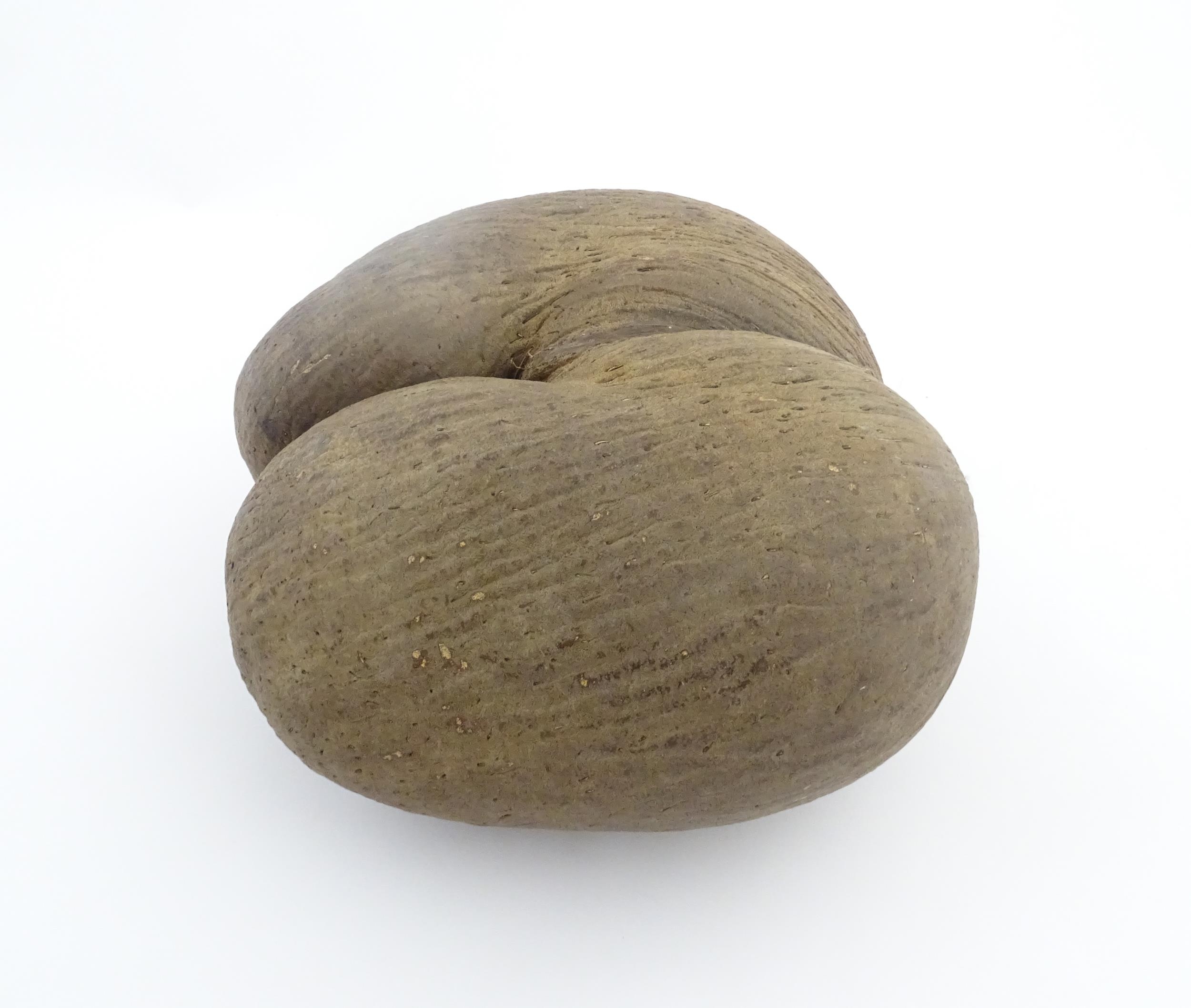 A large unpolished coco de mer nut. Together with a turned wooden stand. Nut approx. 11 3/4" high - Image 6 of 10