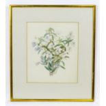 19th / 20th century, Watercolour, A botanical study of a bouquet of purple and white flowers.