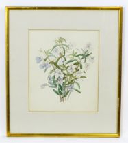 19th / 20th century, Watercolour, A botanical study of a bouquet of purple and white flowers.