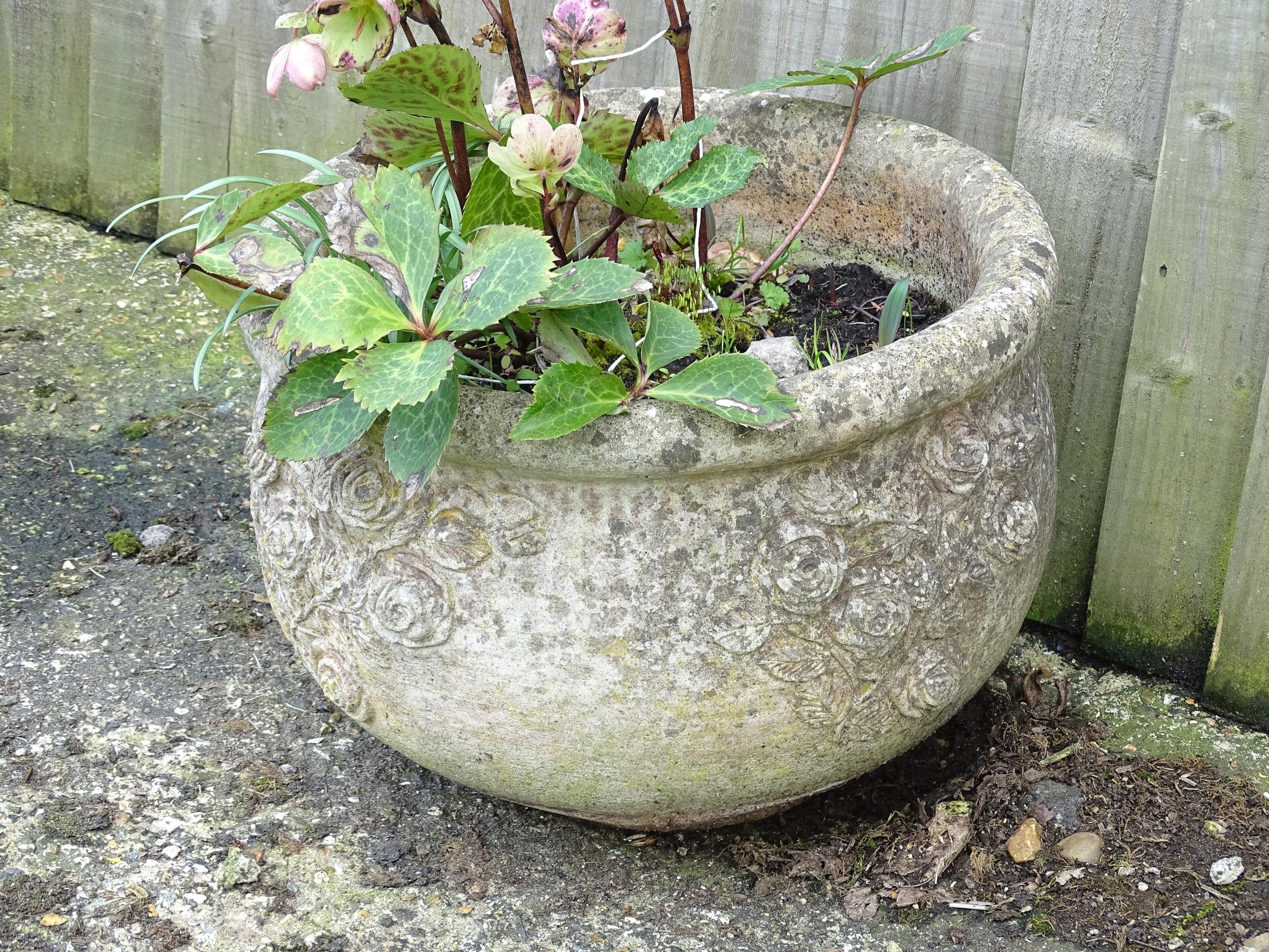 Garden & Architectural : a reconstituted stone planter, approx 13" tall, 18" in diameter Please Note - Image 4 of 7