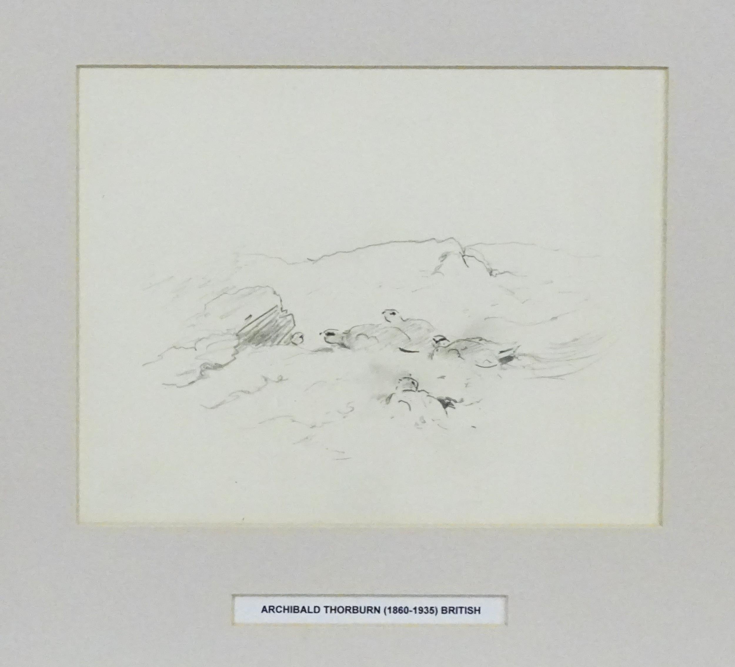 Archibald Thorburn (1860-1935), Pencil sketch, A study of a landscape with grouse birds. Approx. 6 - Image 3 of 4