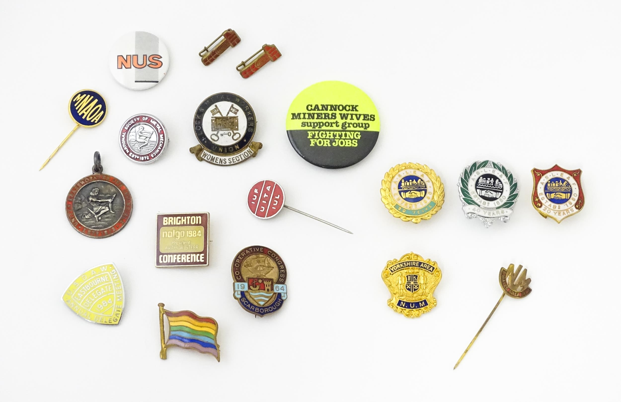 Trade Union Interest: a quantity of assorted badges, pins, etc. to include a silver and enamelled - Image 3 of 10
