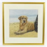 Liz Culyer, 20th century, Coloured pencils, A study of a Labrador dog on beach. Ascribed verso.