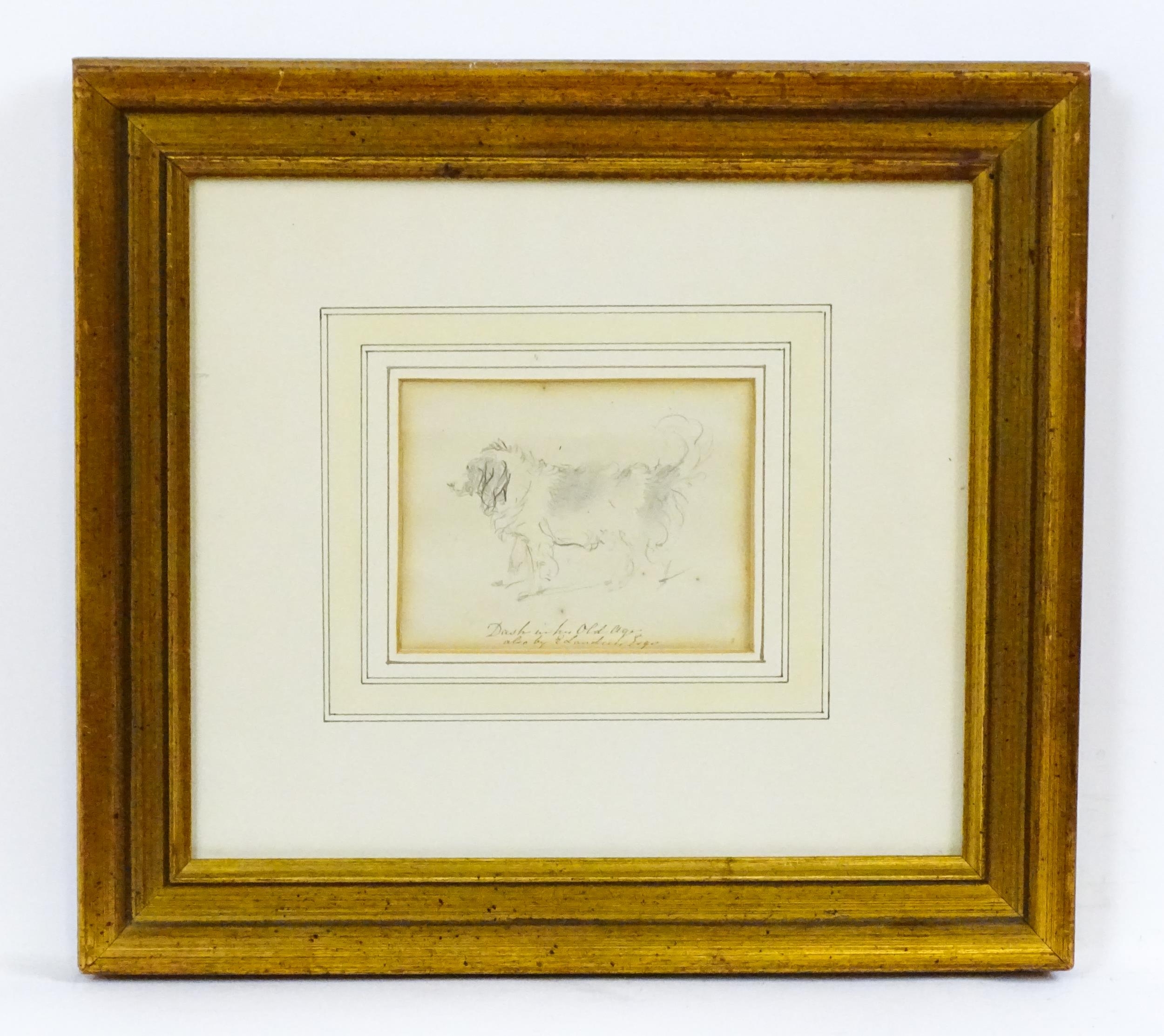 Circle of Sir Edwin Henry Landseer (1802-1873), Pencil drawing, A study of Queen Victoria's King - Image 3 of 4