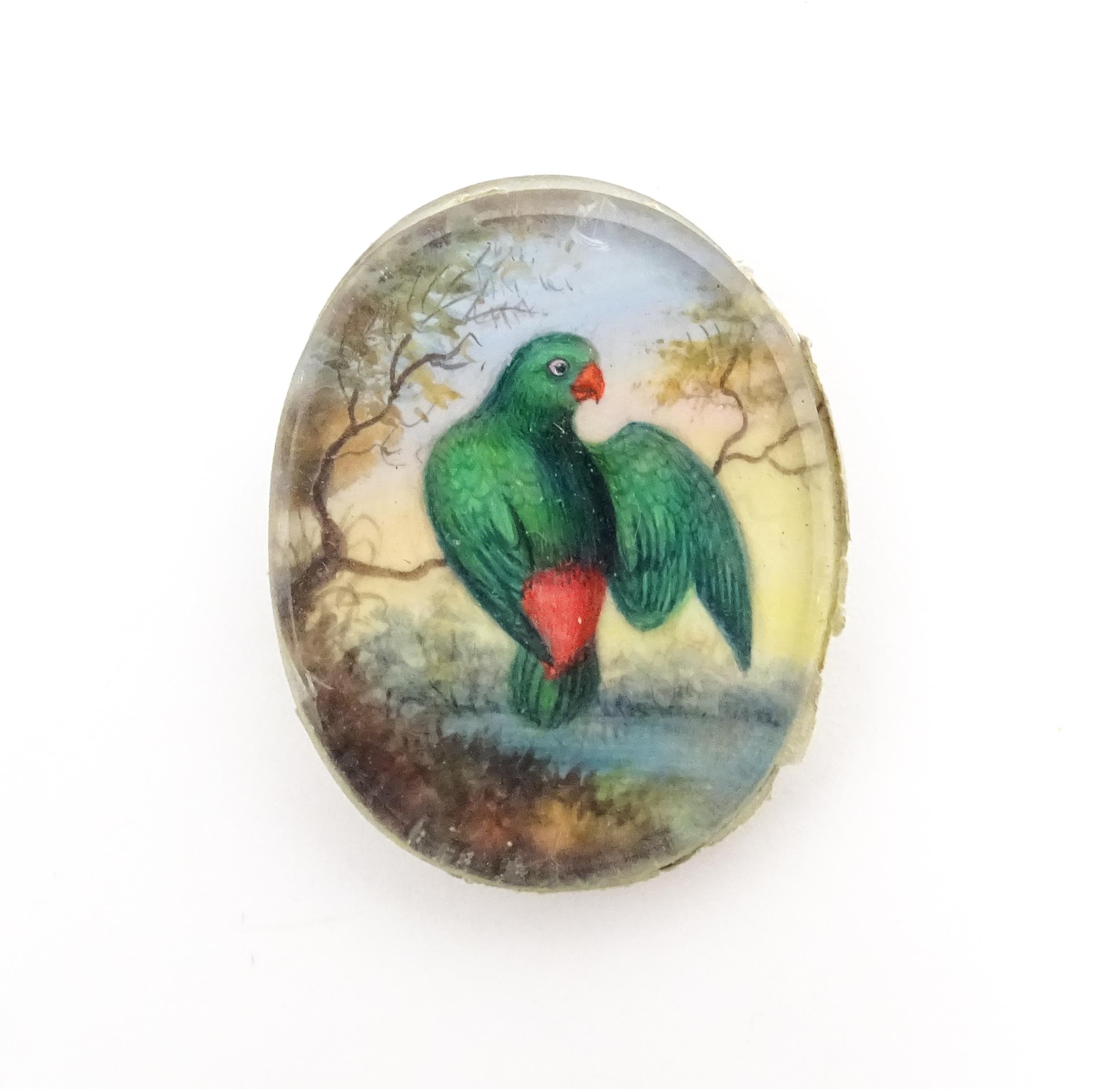 Two early 20thC watercolour miniature ornithological paintings depicting exotic birds perched on a - Image 10 of 11