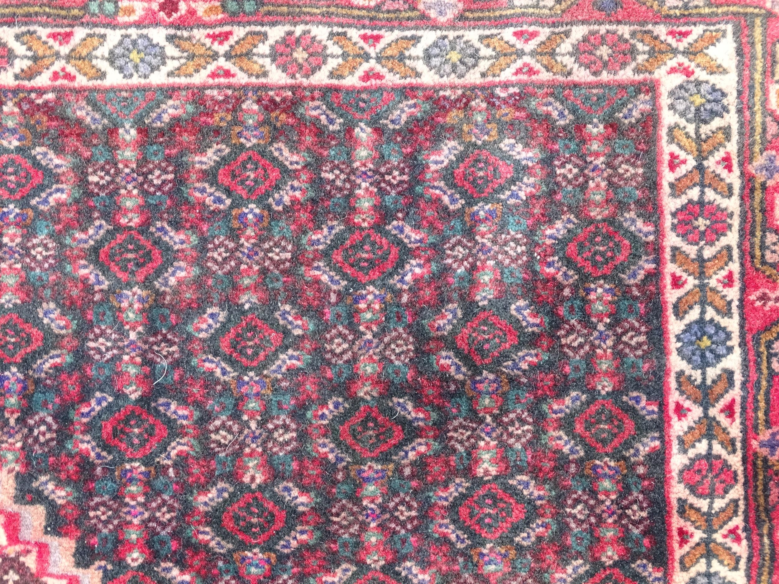 Carpet / Rug: A North West Persian Senneh rug, the red, blue and cream grounds decorated with - Image 5 of 7