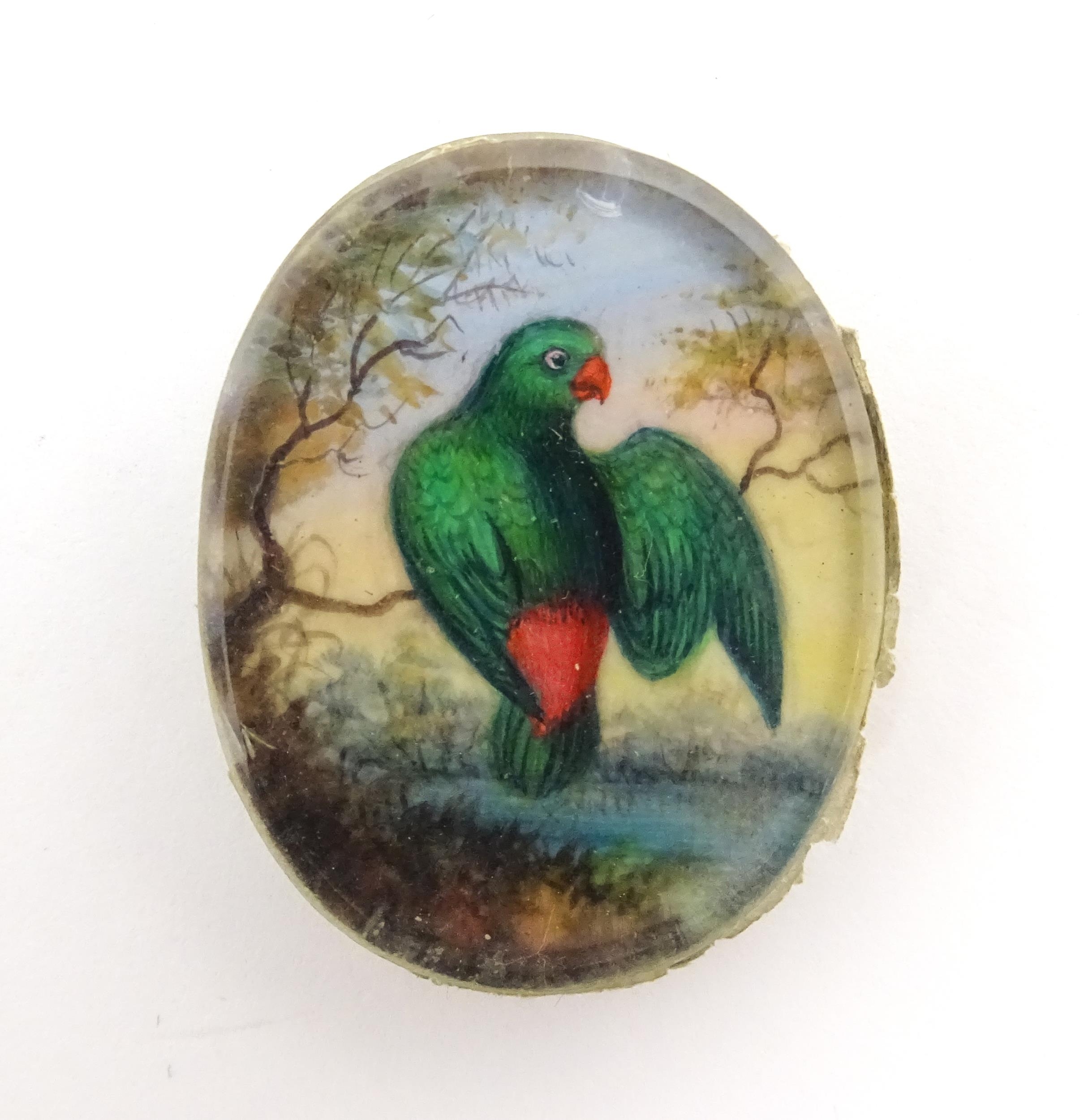 Two early 20thC watercolour miniature ornithological paintings depicting exotic birds perched on a - Image 11 of 11