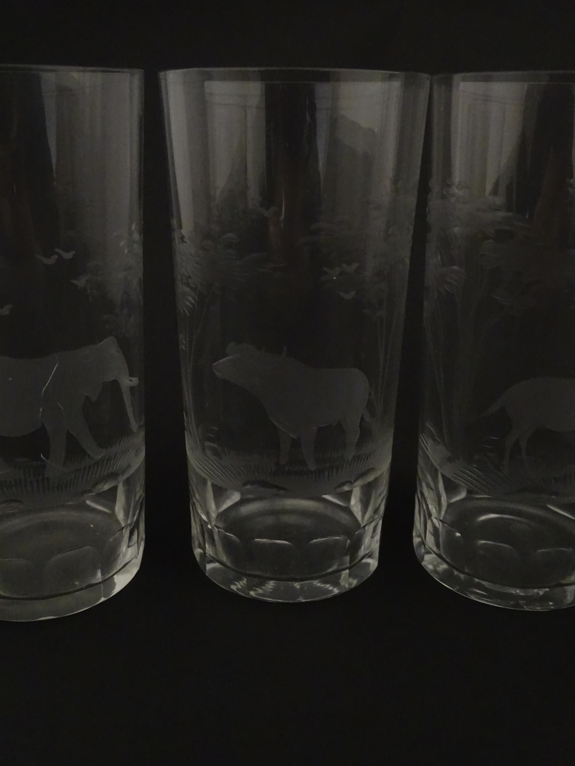 Six Rowland Ward highball glasses with engraved Safari animal detail. Unsigned. Approx. 5 1/2" - Image 10 of 17