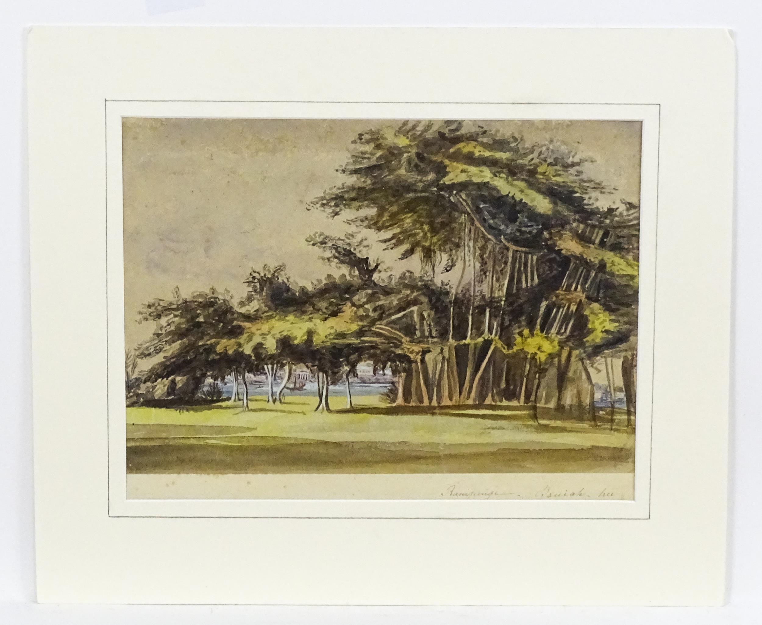 19th century, Anglo-Indian School, Watercolour, A study of a wooded landscape with Banyan trees.