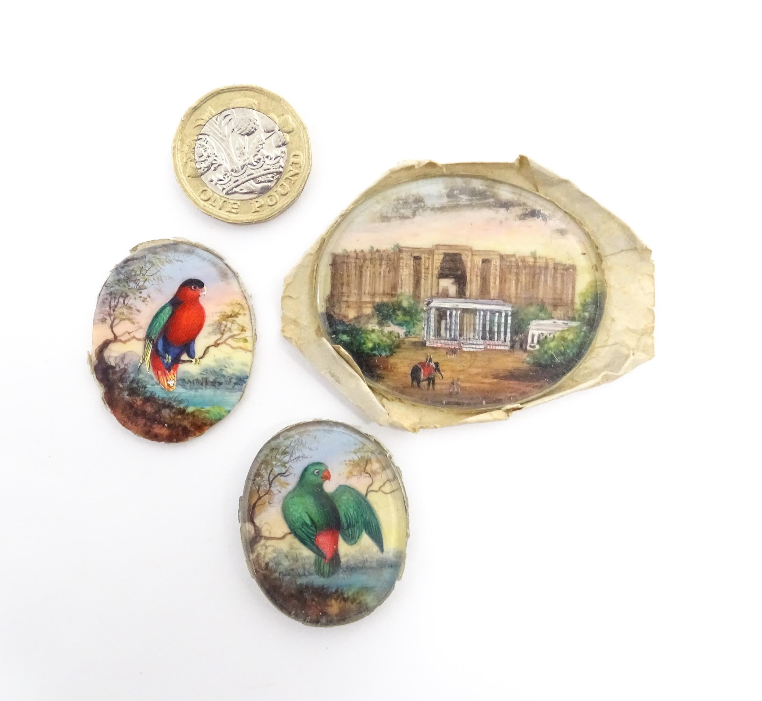 Two early 20thC watercolour miniature ornithological paintings depicting exotic birds perched on a - Image 3 of 11