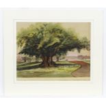 19th century, Anglo-Indian School, Watercolour, A study of a landscape with Banyan trees and a river