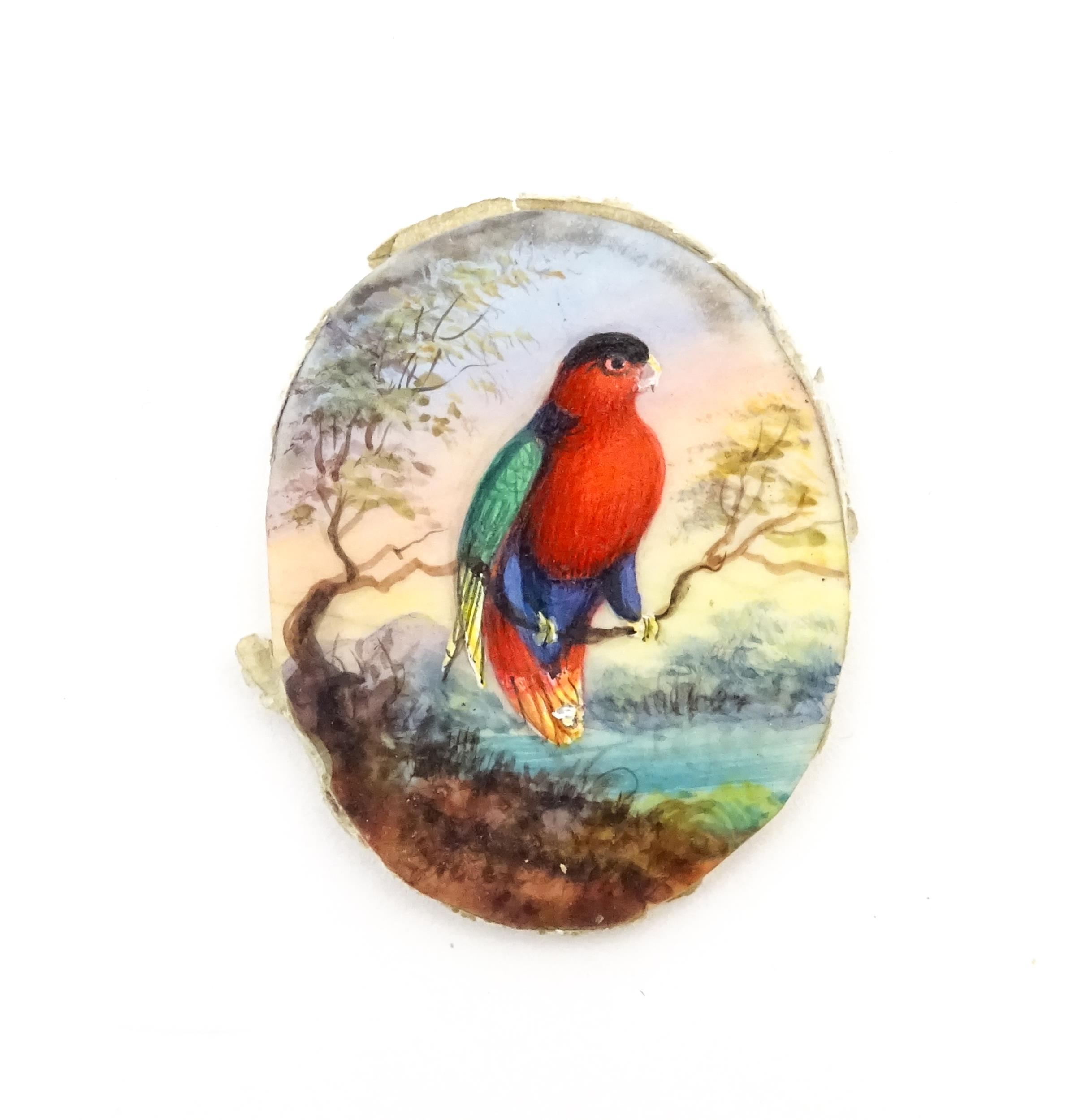 Two early 20thC watercolour miniature ornithological paintings depicting exotic birds perched on a - Image 7 of 11