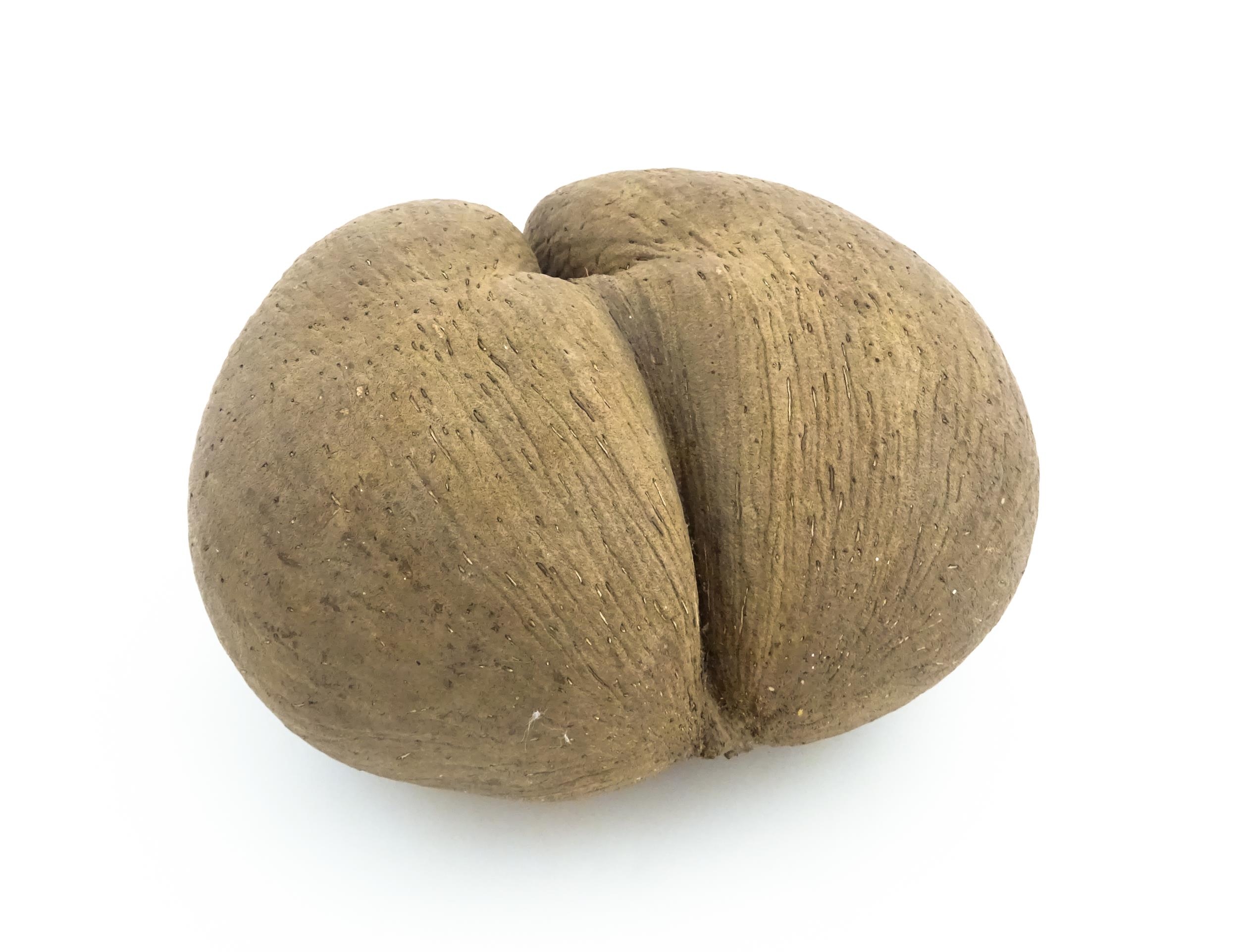 A large unpolished coco de mer nut. Together with a turned wooden stand. Nut approx. 11 3/4" high - Image 8 of 10