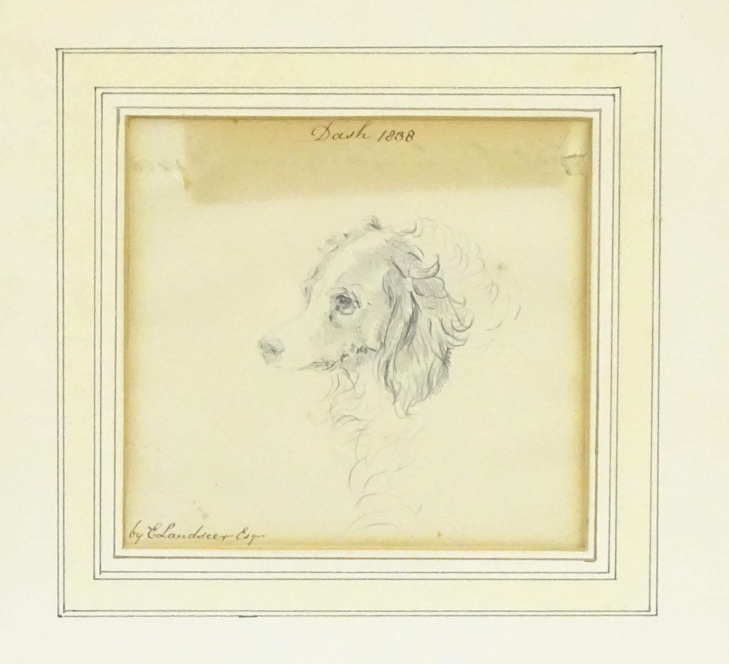 Circle of Sir Edwin Henry Landseer (1802-1873), Pencil drawing, A study of Queen Victoria's King - Image 3 of 5