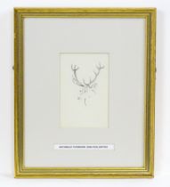 Archibald Thorburn (1860-1935), Pencil sketch, A study of the head of a stag. Approx. 4 1/2" x 3"