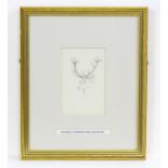 Archibald Thorburn (1860-1935), Pencil sketch, A study of the head of a stag. Approx. 4 1/2" x 3"