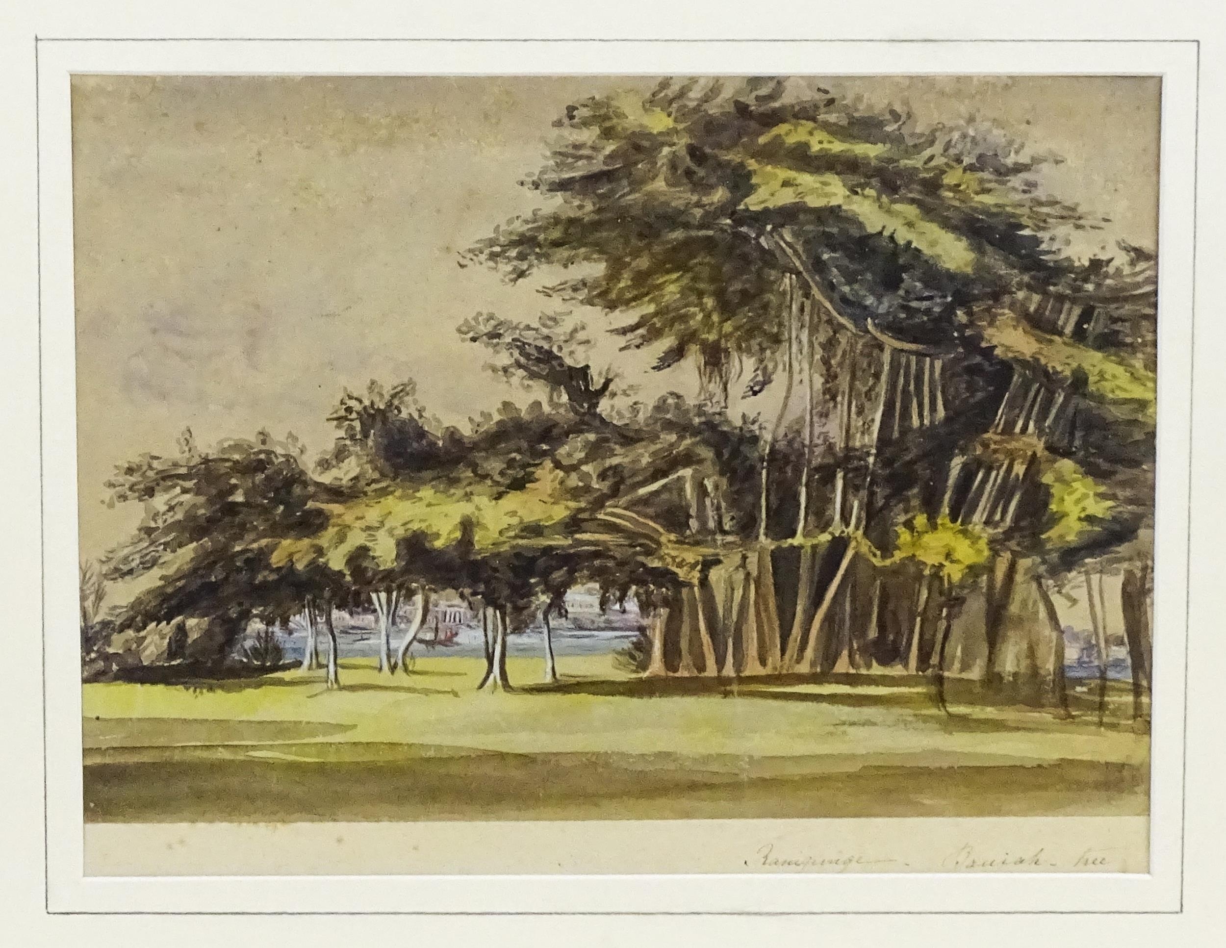 19th century, Anglo-Indian School, Watercolour, A study of a wooded landscape with Banyan trees. - Image 3 of 5