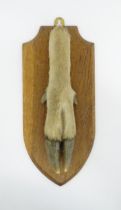 Taxidermy : a mid 20thC continental mount of a Red deer hoof affixed to a plinth, approx 12 1/2"