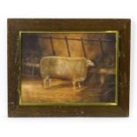 20th century, English School, Gouache on board, A portrait of a sheep in a barn. Approx. 8 1/2" x 11