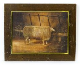 20th century, English School, Gouache on board, A portrait of a sheep in a barn. Approx. 8 1/2" x 11