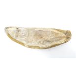 Natural History / Geology Interest: A fossil specimen of a fish. Approx. 8 1/2" wide Please Note -