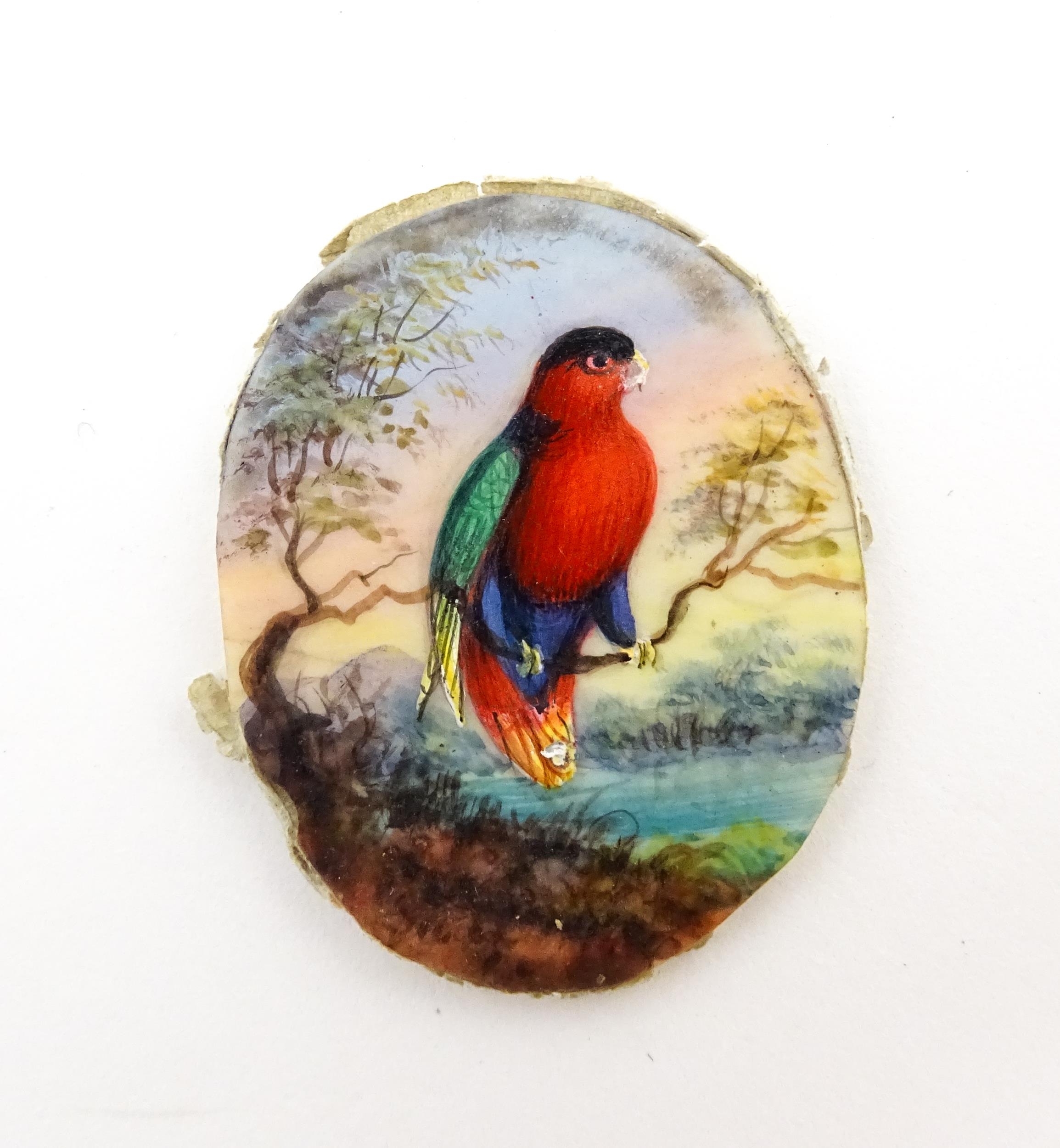 Two early 20thC watercolour miniature ornithological paintings depicting exotic birds perched on a - Image 8 of 11