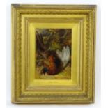 James Hardy (1832-1889), Oil on board, A study of a cock pheasant. Signed and dated (18)81 lower
