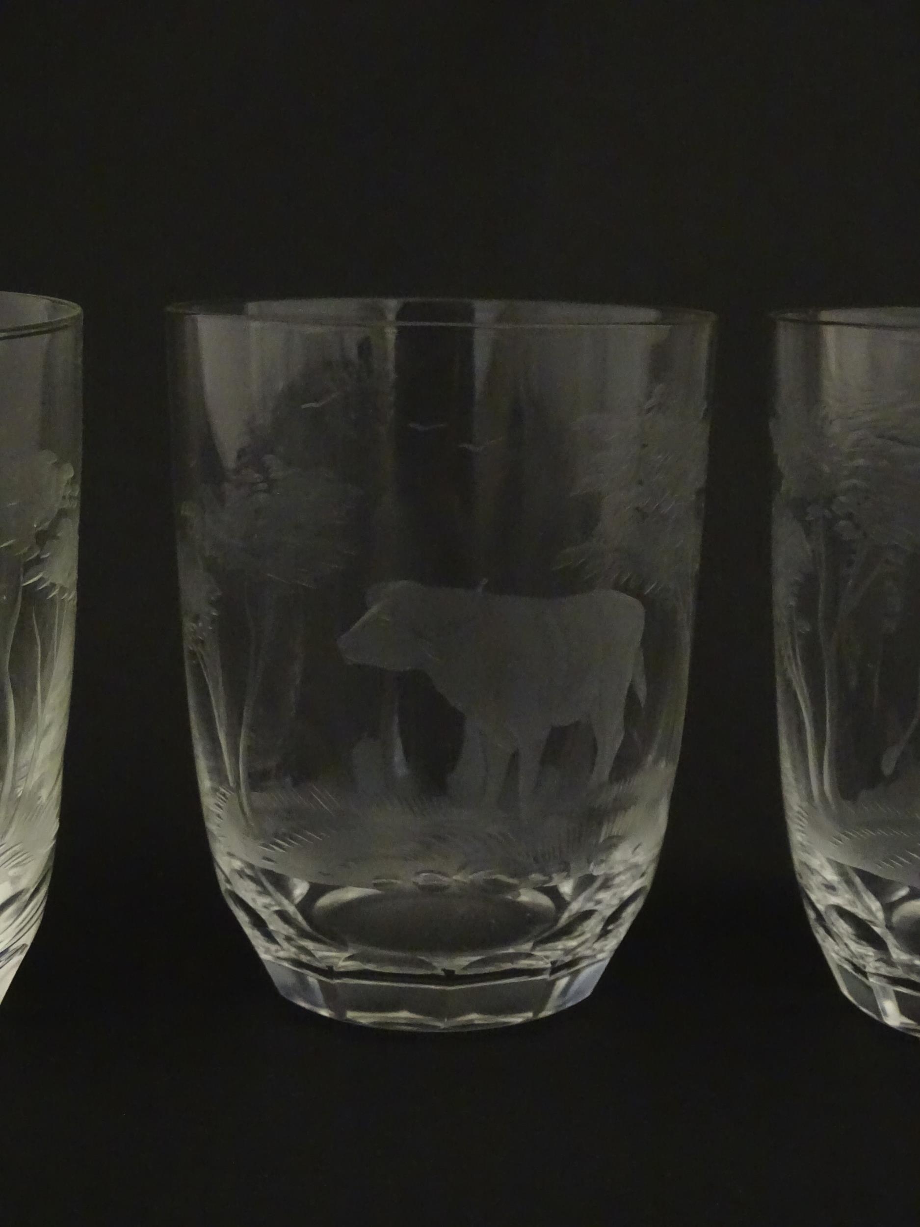 Six Rowland Ward tumbler glasses with engraved Safari animal detail. Unsigned Approx. 3 3/4" high ( - Image 6 of 13