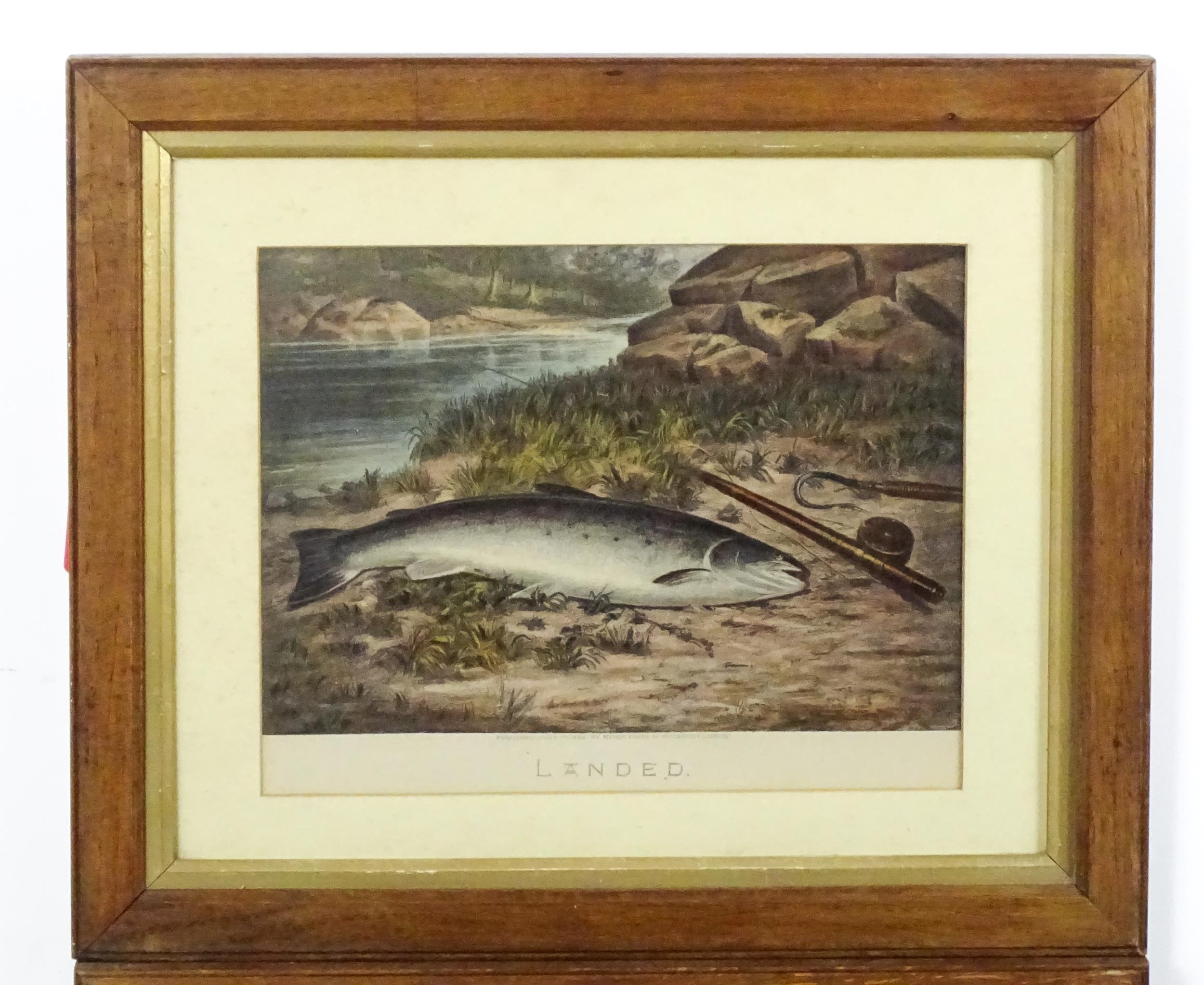 After Walter M. Brackett, 19th century, Lithographs with hand colouring, Two fishing engravings - Image 4 of 7