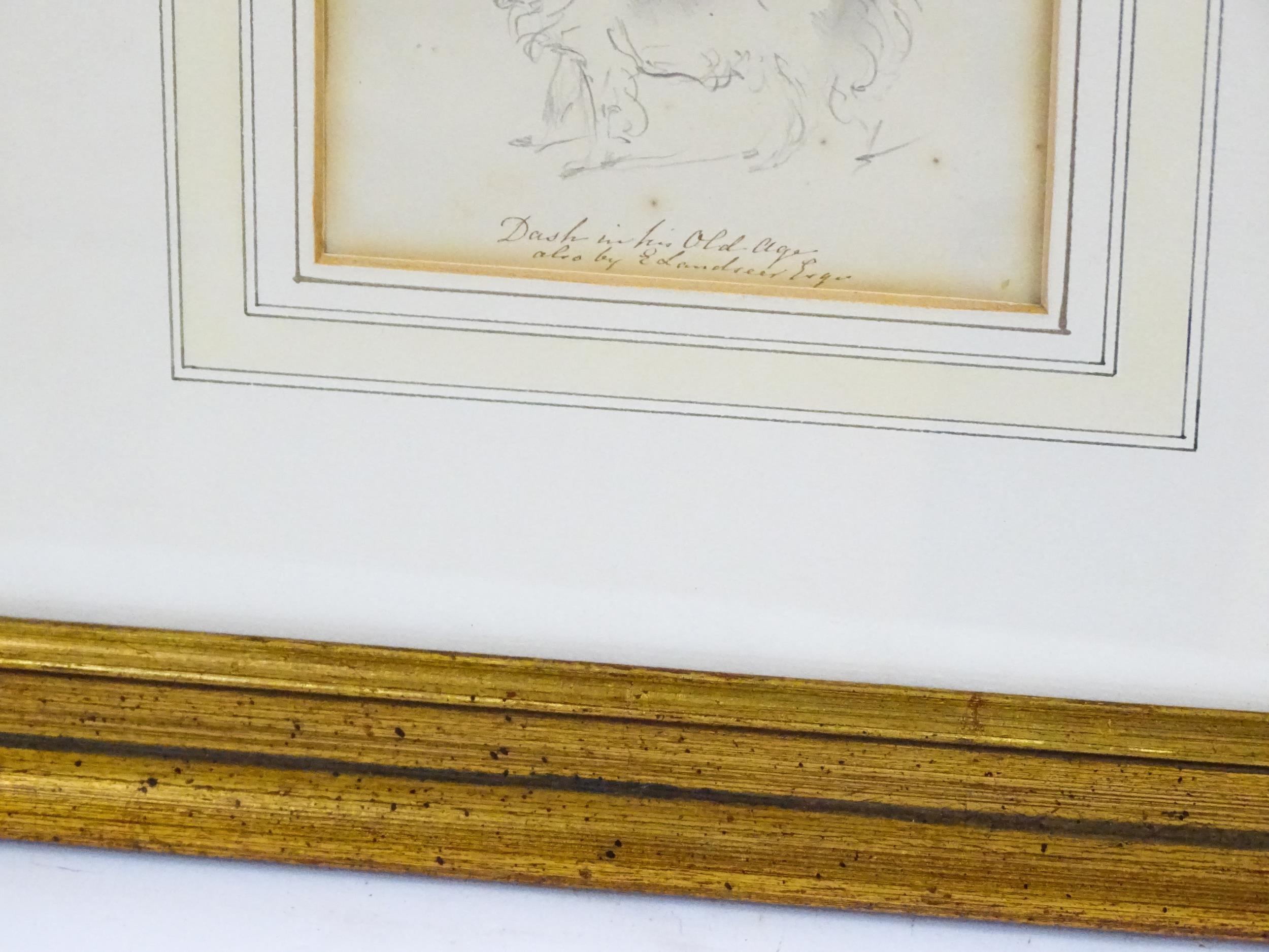 Circle of Sir Edwin Henry Landseer (1802-1873), Pencil drawing, A study of Queen Victoria's King - Image 4 of 4