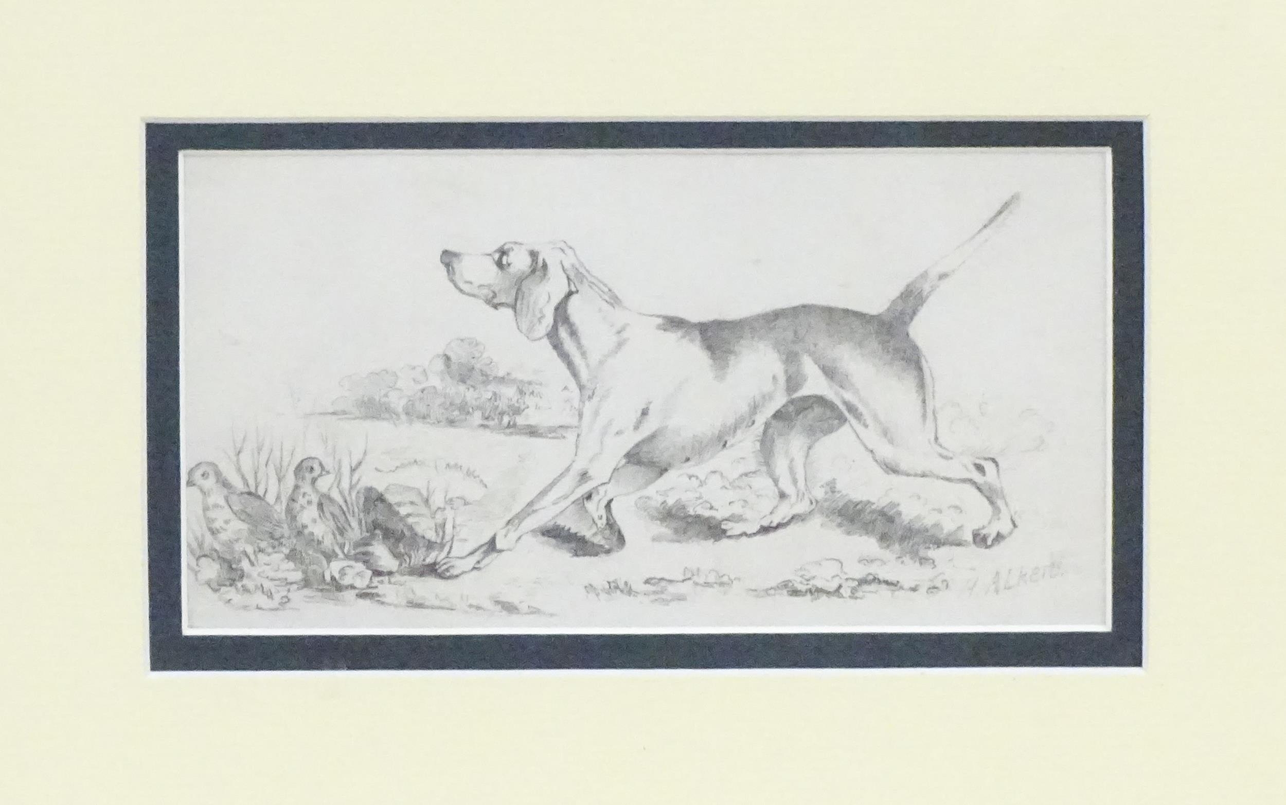 Manner of Henry Thomas Alken, Pencil sketch, A study of a gundog / hound and partridge birds in a - Image 3 of 4