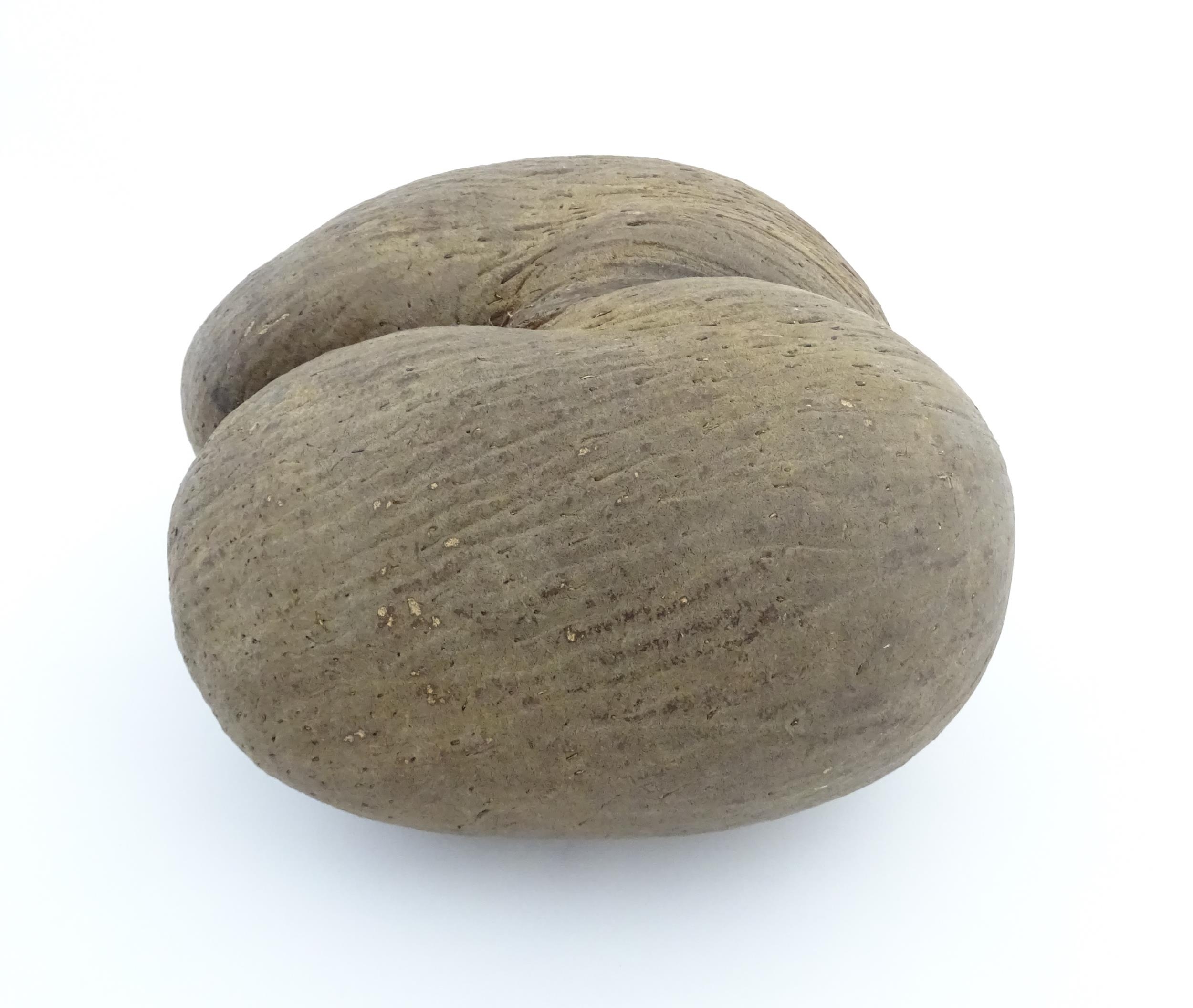 A large unpolished coco de mer nut. Together with a turned wooden stand. Nut approx. 11 3/4" high - Image 7 of 10