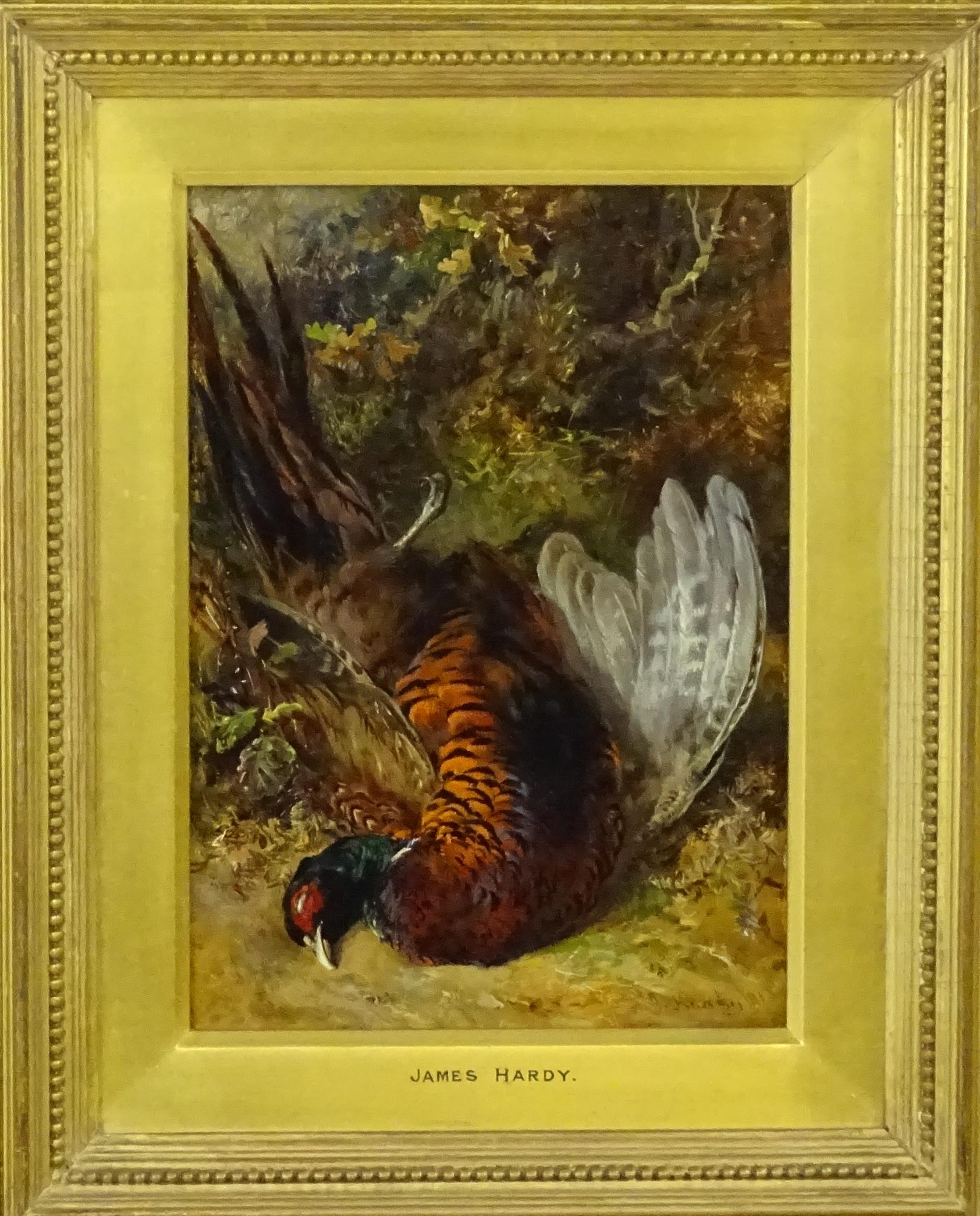 James Hardy (1832-1889), Oil on board, A study of a cock pheasant. Signed and dated (18)81 lower - Image 2 of 4