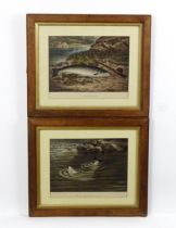 After Walter M. Brackett, 19th century, Lithographs with hand colouring, Two fishing engravings
