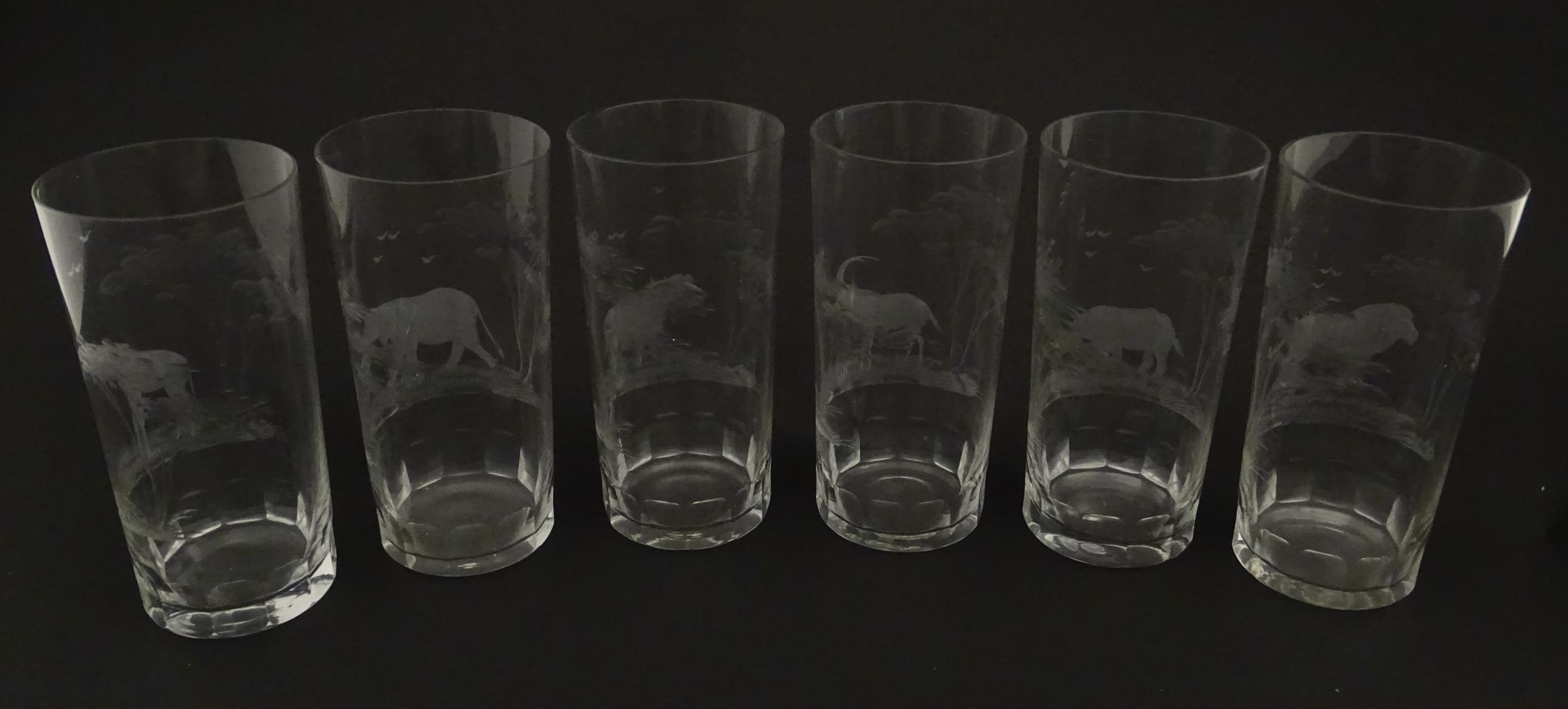 Six Rowland Ward highball glasses with engraved Safari animal detail. Unsigned. Approx. 5 1/2" - Image 14 of 17