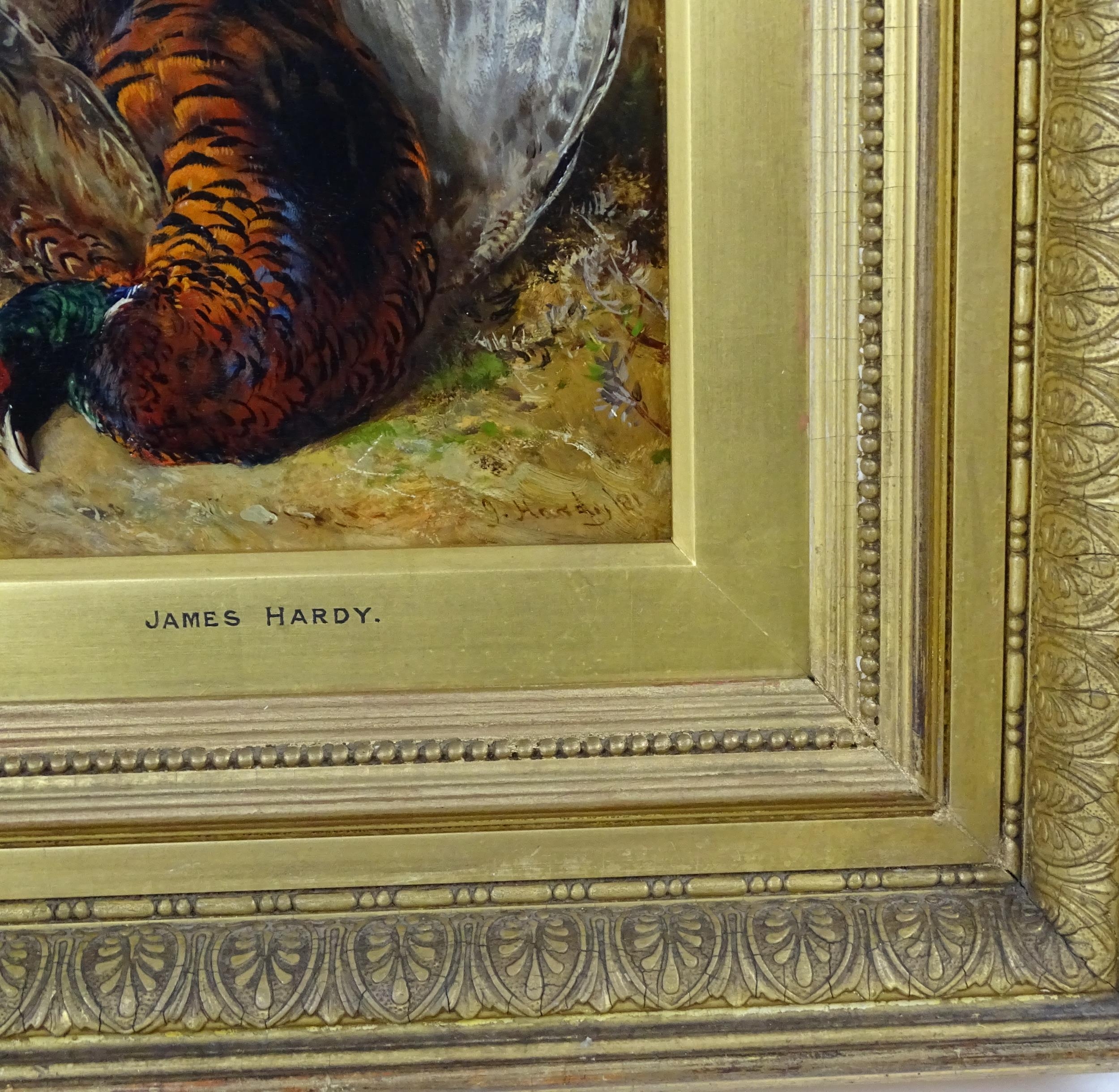 James Hardy (1832-1889), Oil on board, A study of a cock pheasant. Signed and dated (18)81 lower - Image 3 of 4