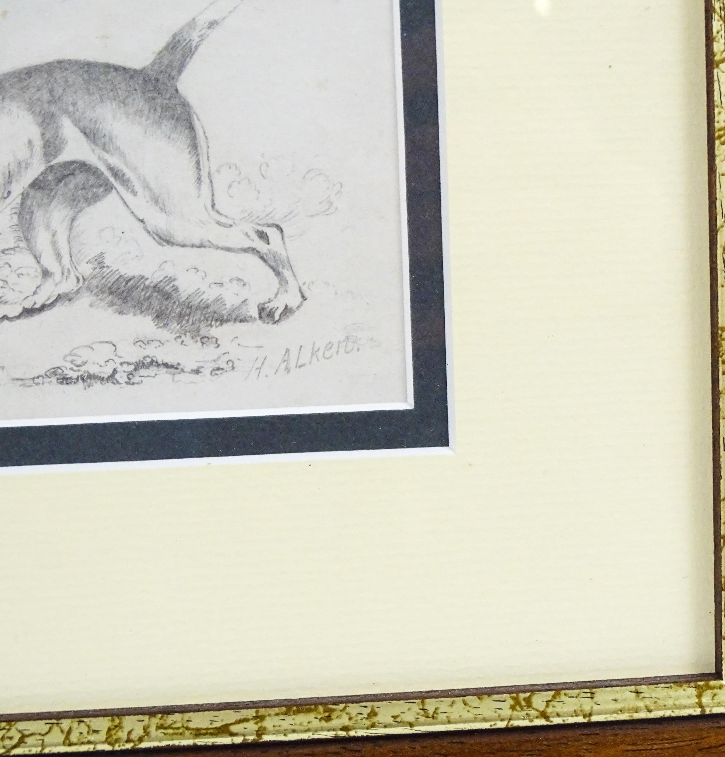 Manner of Henry Thomas Alken, Pencil sketch, A study of a gundog / hound and partridge birds in a - Image 4 of 4