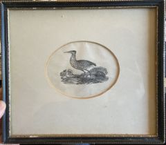 Attributed to Thomas Bewick (1753-1828). The Swan, A Bittern and A Rat