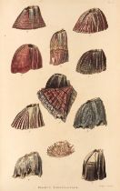 Darwin (Charles). A Monograph on the Sub-Class Cirripedia, 2 vols., 1851-54