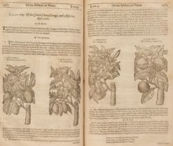 Gerard (John). The Herball or Generall Historie of Plantes..., 1633