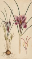 Martyn (Thomas). Flora Rustica, 4 volumes, 1792-94