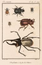 Buffon (Georges-Louis Leclerc de). Histoire Naturelle, 12 volumes only, 1801-04