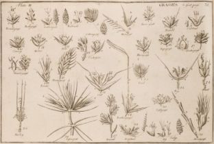 Withering (William). A Botanical Arrangement of all the Vegetables Naturally Growing, 2 vols., 1776