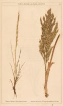 Moore (David). Concise Notices of British Grasses best suited for Agriculture, 2nd edition, 1850