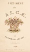 Pressed Algae. Specimens of Algae, or Submersed Plants, Prepared by Eliza A. Jordan, Brooklyn, 1848