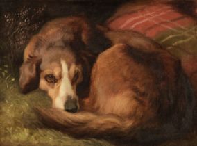 Scottish School. Portrait of a Dog, circa 1870