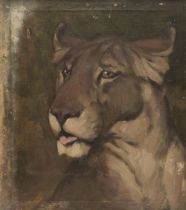 Brien (Stanislaus, 20th century). Lion's Head, oil on canvas