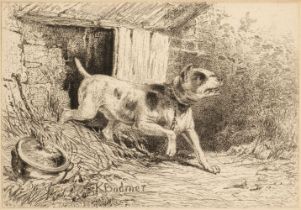 Bodmer (Karl, 1809-1893). Watchdog from Eaux Fortes Animaux & Paysages, 1860